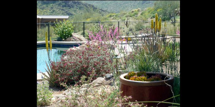 red-pot-flowers700x350.jpg